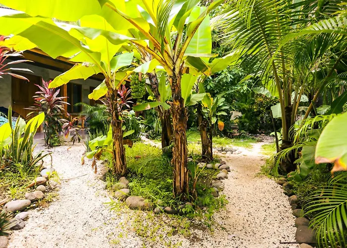 Cabinas Playa Surf Hostel Playa Santa Teresa 